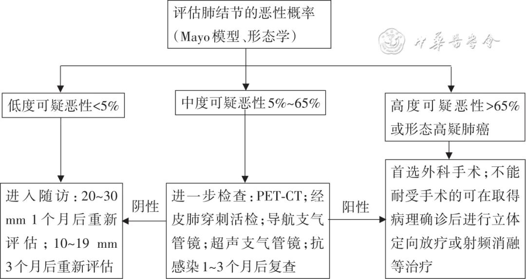 肺结节