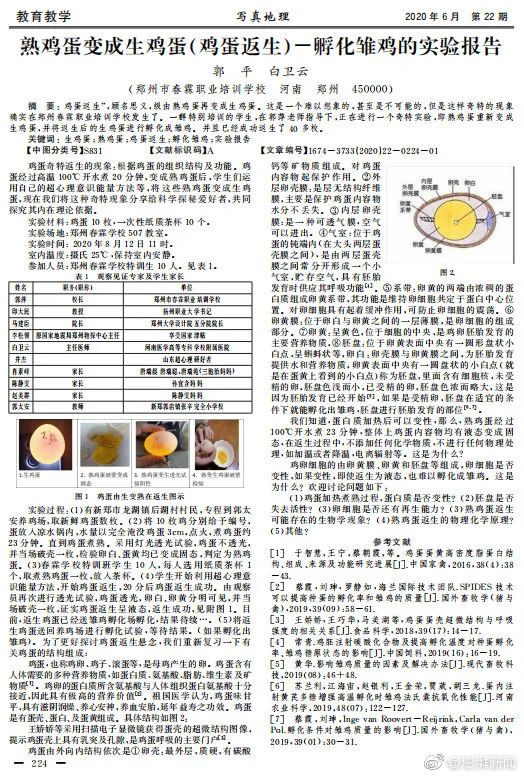 鸡蛋反生试验报告