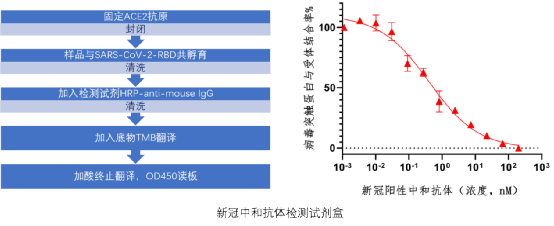 印度突变株