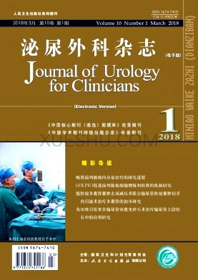泌尿外科杂志