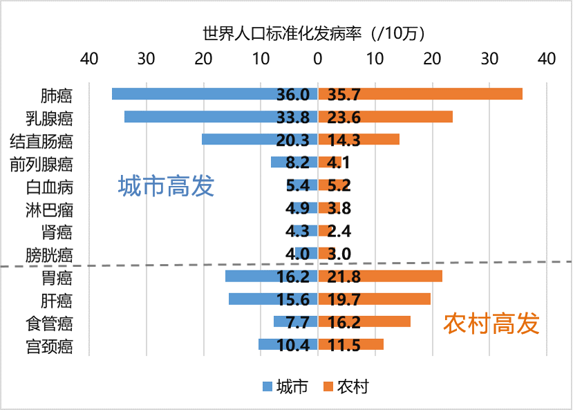 地域差异