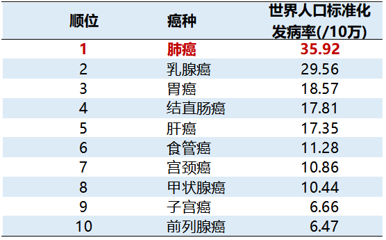 发病前十位