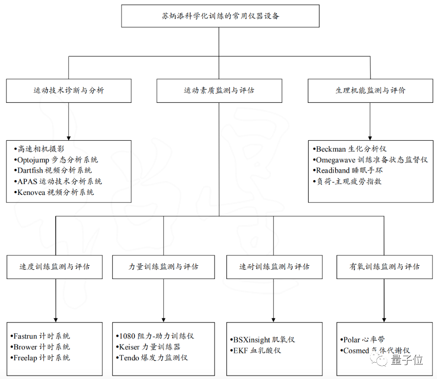 训练过程