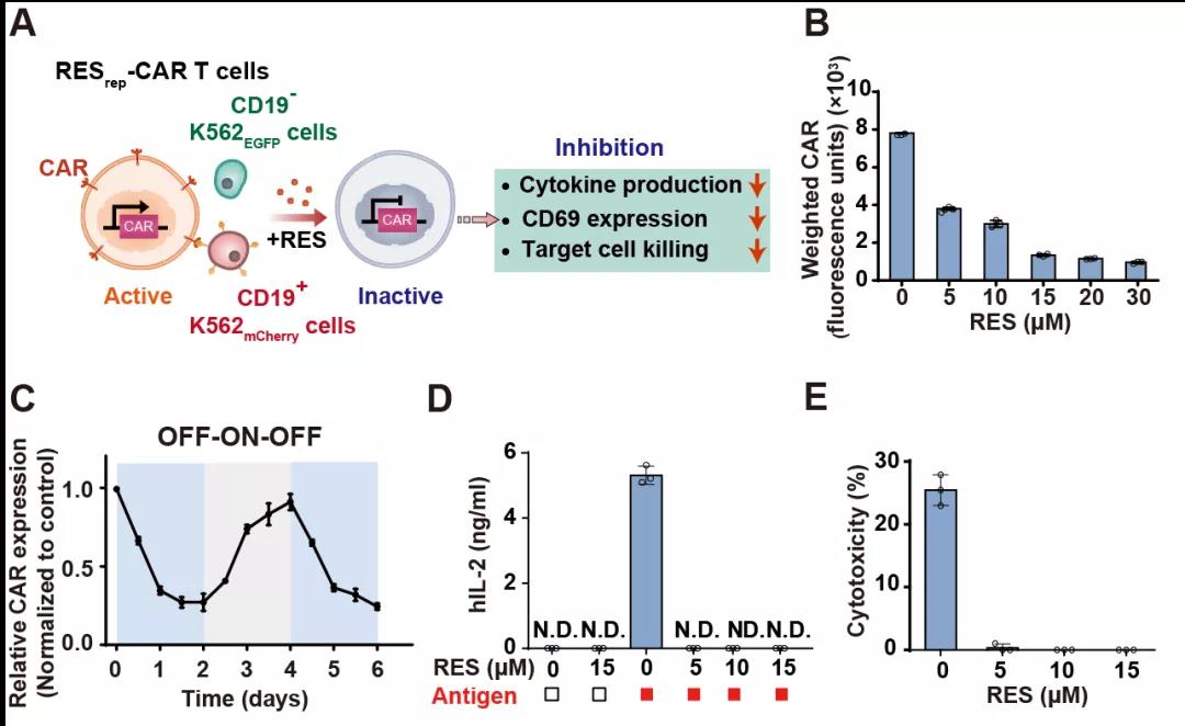 RESrep-CAR装置在T细胞中的抑制CAR表达的调控效果