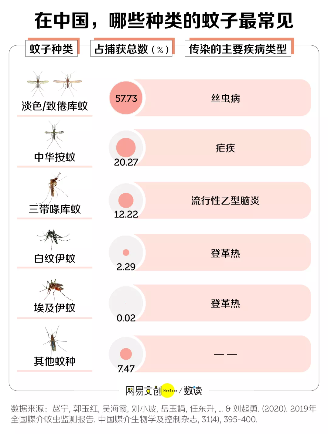 最常见蚊子