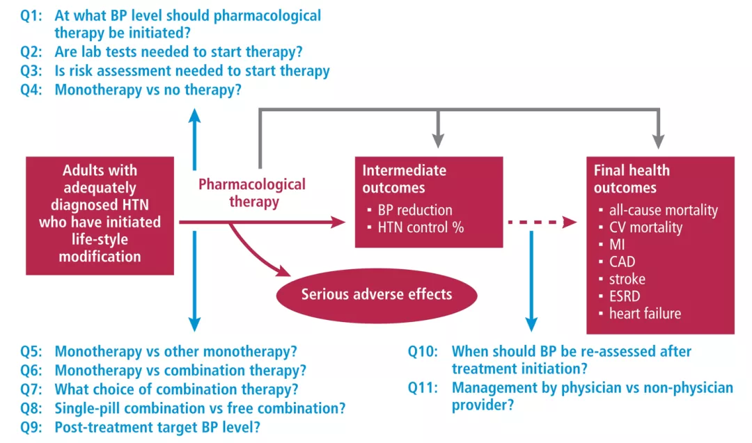 降压药物治疗分析框架