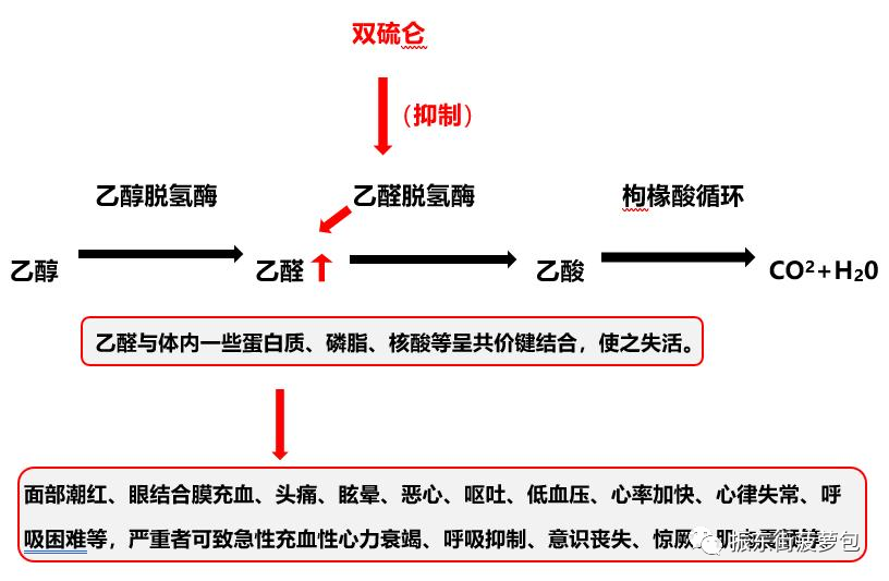 双硫仑反应