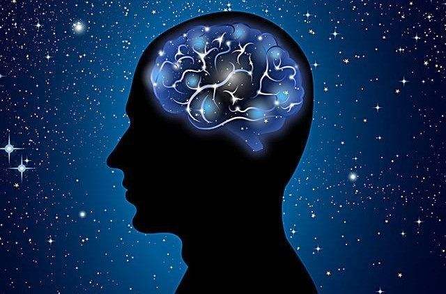 人类的大脑有何特别之处？