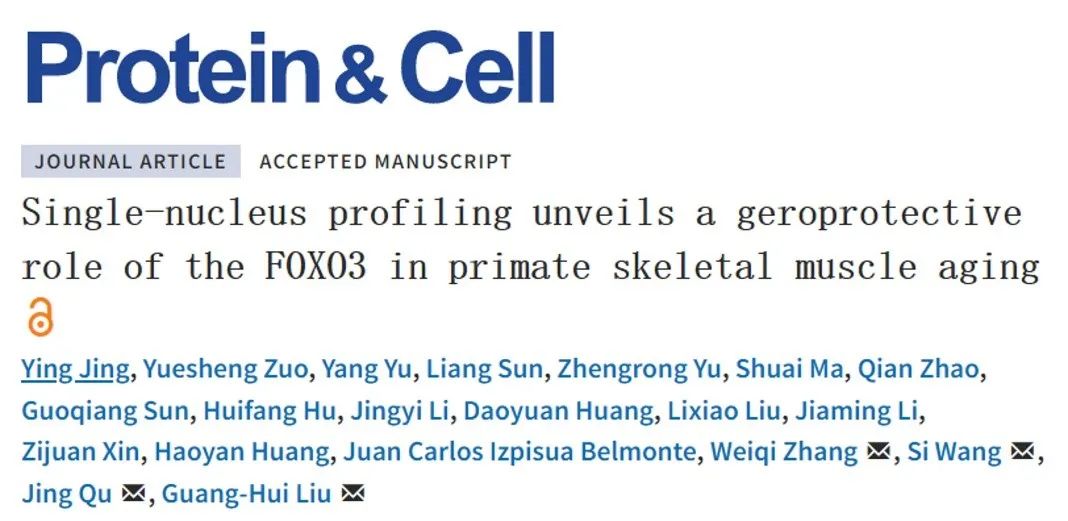 Protein＆Cell：刘光慧/曲静/王思/张维绮发现延缓人类骨骼肌衰老的新靶标