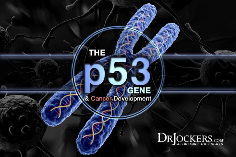 顾伟团队发现，p53的这种点突变，可同时抑制铁死亡和促肿瘤转移..