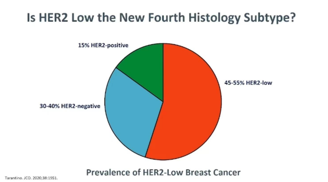 2023年Her-2低表达乳腺癌治疗进展（附下载）