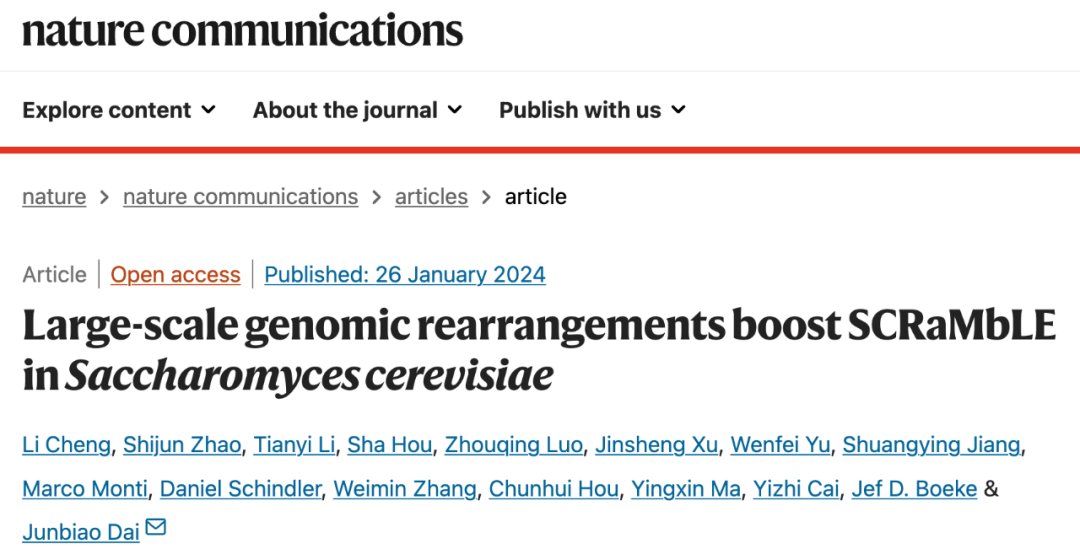 Nature子刊：戴俊彪团队构建全基因组SCRaMbLE重排酵母，加速菌株快速进化