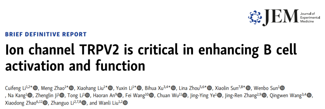 JEM | 刘万里/栗占国/赵晓东/王庆文/张敬仁合作发现阳离子通道TRPV2增强B淋巴细胞免疫活化和抗体应答的新机制